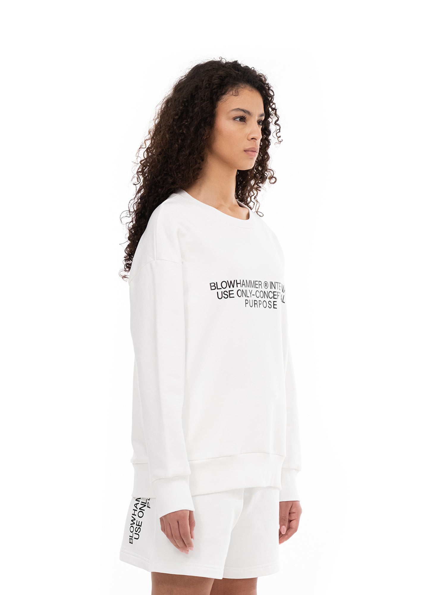 Concept  Crewneck Sweatshirt | Blowhammer