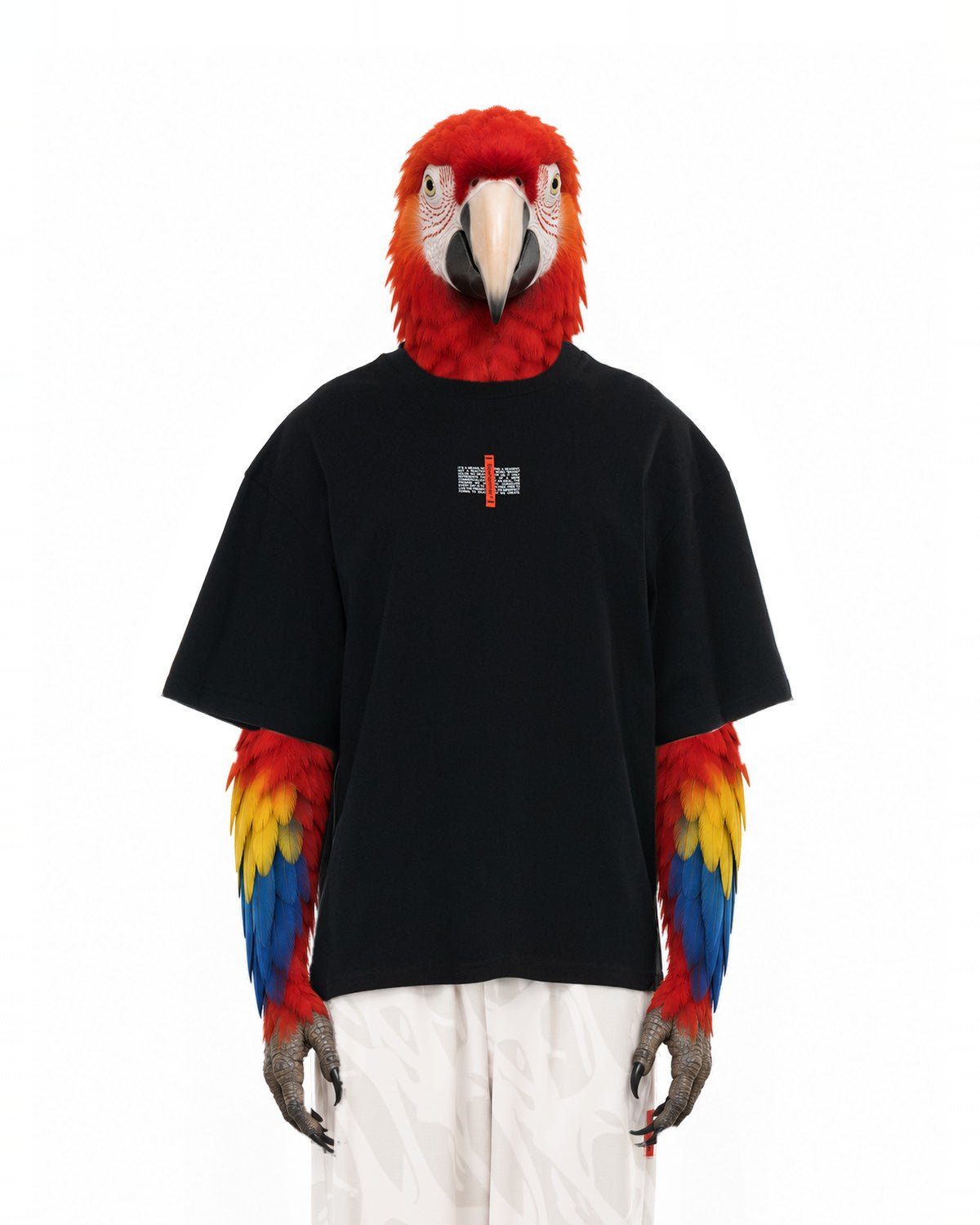 Personaggio inventato, pappagallo ara, indossa Flag T-Shirt